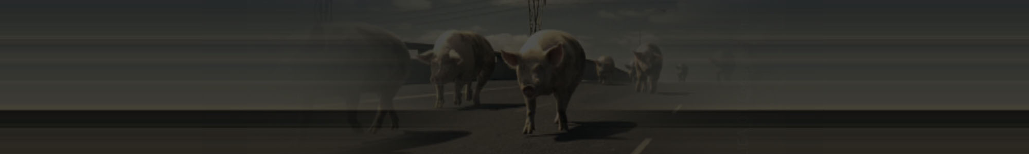 AAAA